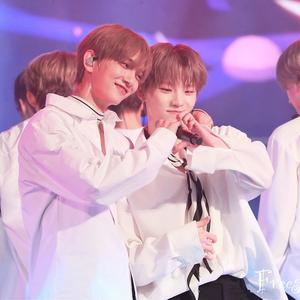 Flower (李灿生贺中文填词|暗黑向)