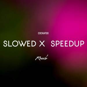 Slowed X Speedup