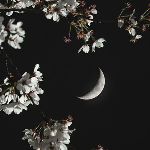 Serotonine Syndrome (Explicit)