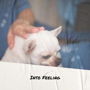 Into Feeling