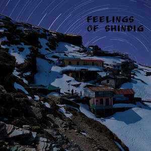 Feelings Of Shindig