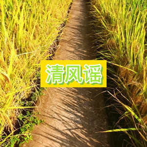 梦天 - 海市蜃楼 (高潮版)