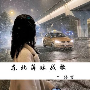 张雪 - 东北萍妹战歌