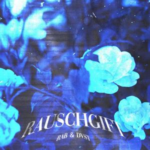 Rauschgift (feat. Rae Sevis) (Explicit)