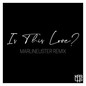 Is This Love? (MarlinEuster Remix)