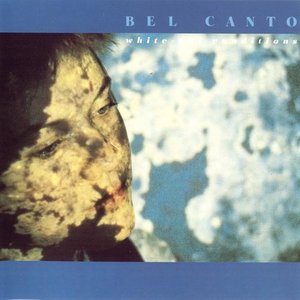 White Out Conditions