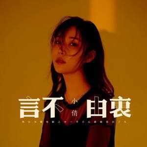 言不由衷 (disco版)