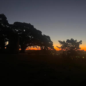 REMnants of Sleep (Explicit)