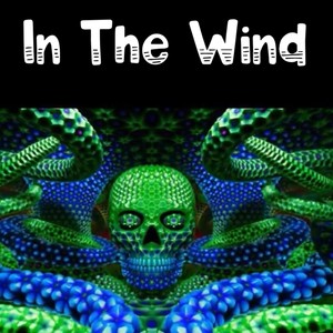 In The Wind