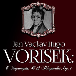12 Rhapsodies, Op. 1: No. 9 in G Minor: Allegro appassionato
