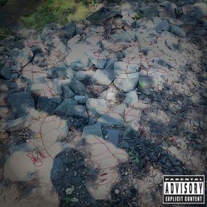 evel TurTil (feat. Schnooty Records) (Explicit)