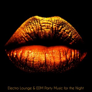 Electro Lounge & EDM Party Music for the Night – Sexy Dance Songs for Hot Party in Town & Adult Vacations