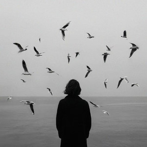 高,还没富,但帅 (DJ版)