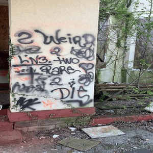 Sparking Zero! (Gogeta) (Explicit)