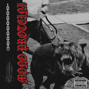 MONO PROTEINI (Explicit)