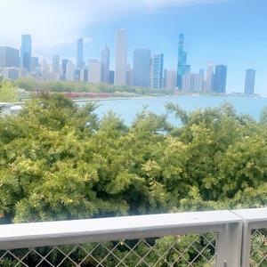 Scarlett Romancing (Explicit)