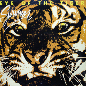 Eye of the Tiger