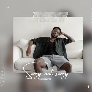 Sorry Not Sorry (Explicit)