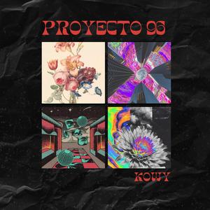 PROYECTO 96