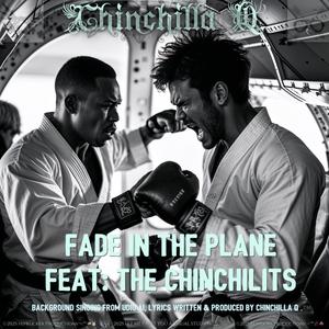 Fade In The Plane (feat. The Chinchilits) (DJ SkyeLo Mashup|Explicit)