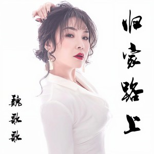 归家路上