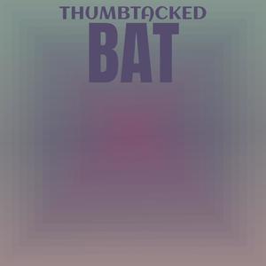 Thumbtacked Bat