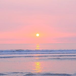 Grimmmz - Kill Bill (比尔杀神进行曲)