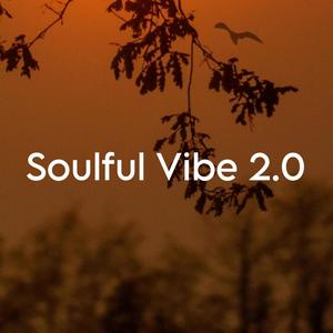 Soulful Vibe 2.0