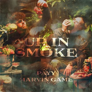 Payy - Up in Smoke (Explicit)