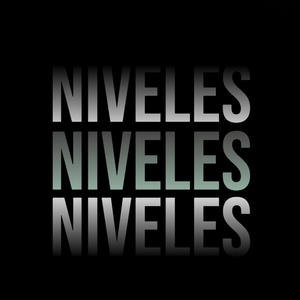 NIVELES