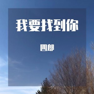 我要找到你