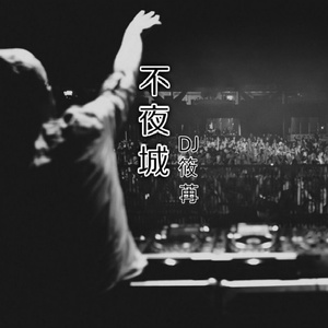 追光者 (Remix)
