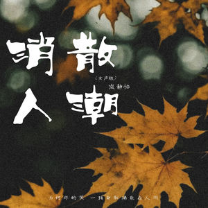 消散人潮 (女声版)封面