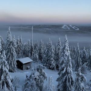 Your Shadow (feat. Tutorial) (Demo)