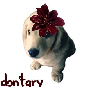 don't qry