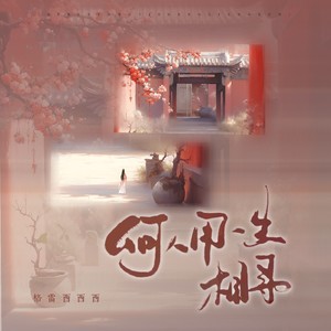 何人用一生相寻 (Electro Mix)