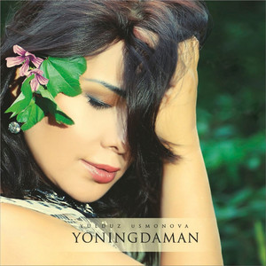 YONINGDAMAN (2013)