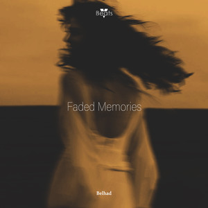 Faded Memories
