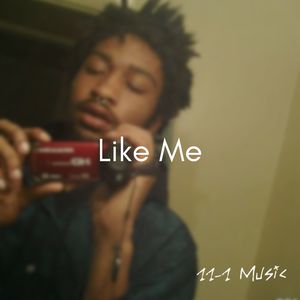 Like Me (Explicit)