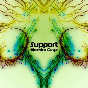 Support - Single