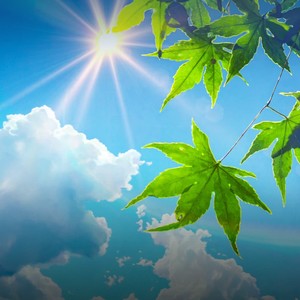 成为我，守护你