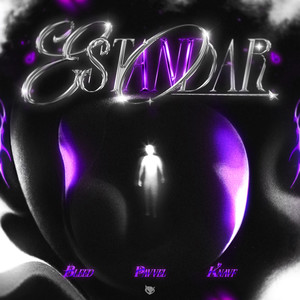 ESTÁNDAR