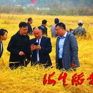 棠梨之约 (伴奏)