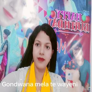 Gondwana mela te wayeni