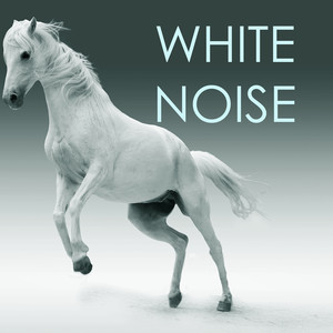 White Noise Therapy - Sounds of Nature for Baby & Adult Sleep