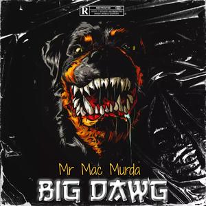 Big Dawg (Explicit)