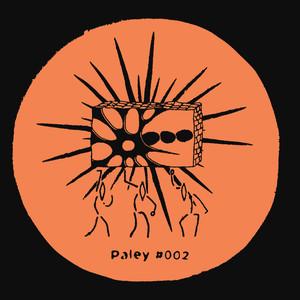 Paley 002