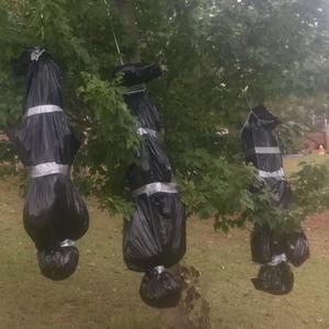 Leave (feat. 1KJ223!) (Explicit)