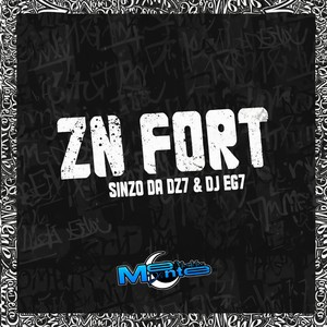 ZN FORT (Explicit)