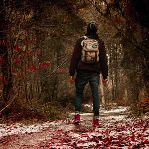 MONEY STEPPERS (Explicit)